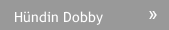 Hündin Dobby
